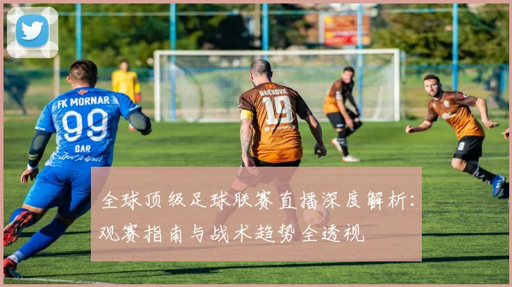 全球顶级足球联赛直播深度解析：观赛指南与战术趋势全透视