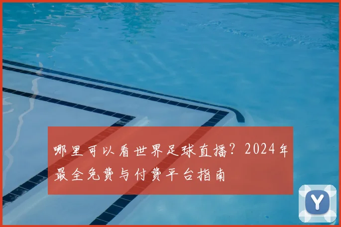 哪里可以看世界足球直播？2024年最全免费与付费平台指南