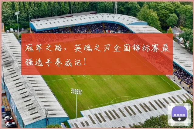 冠军之路，英魂之刃全国锦标赛最强选手养成记！