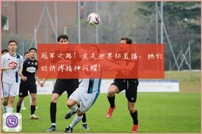 冠军之路！女足世界杯直播，她们的拼搏精神闪耀！